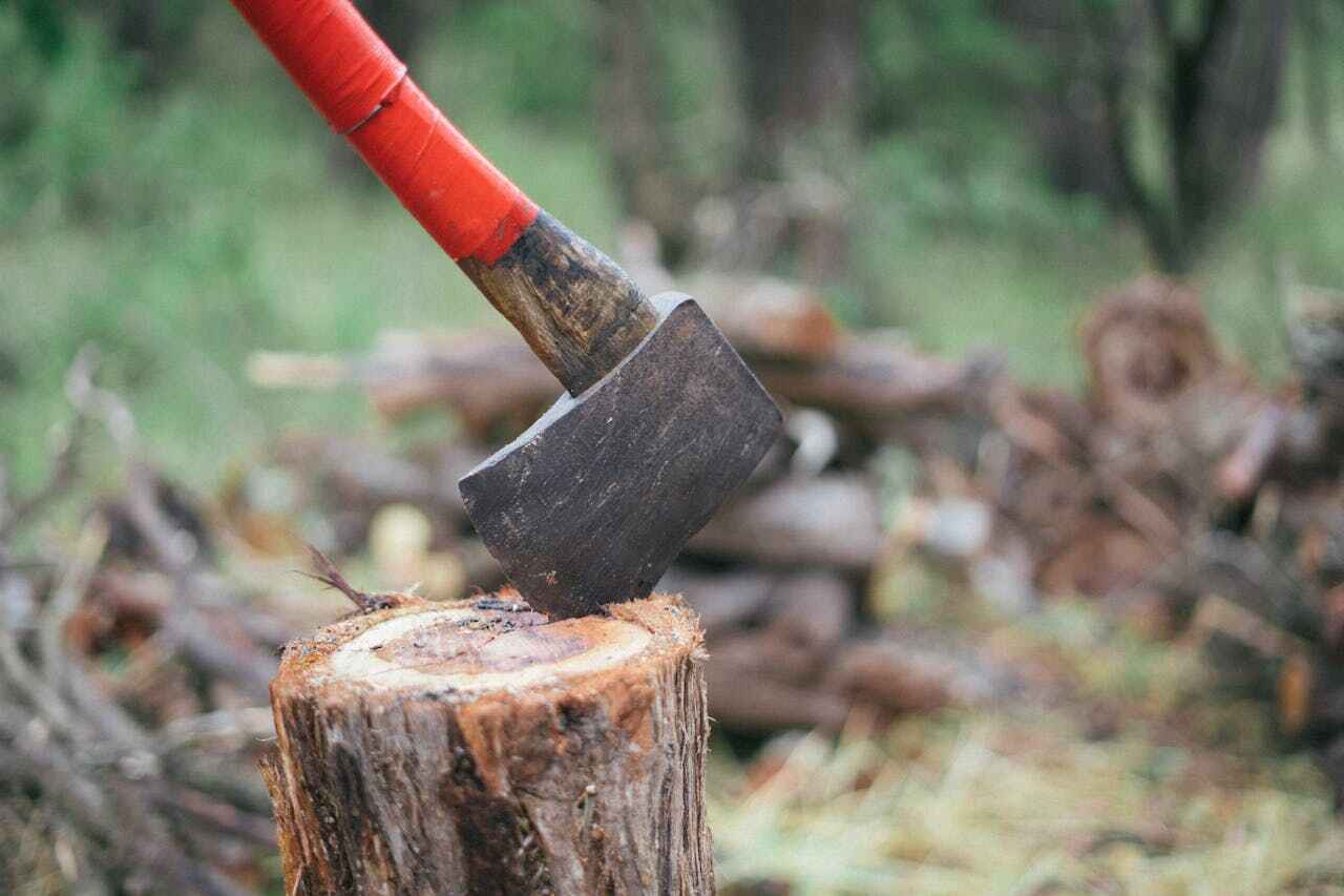 Best Tree Stump Removal  in Lamar, CO